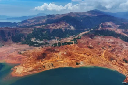 Deforestasi oleh pembangunan kebun sawit dalam konsesi PT Borneo International Anugerah di Putussibau, Kapuas Hulu, Kalimantan Barat. (Foto: Auriga Nusantara)